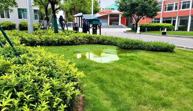 绿化养护套餐在小区管理中的使用误区与解决方法